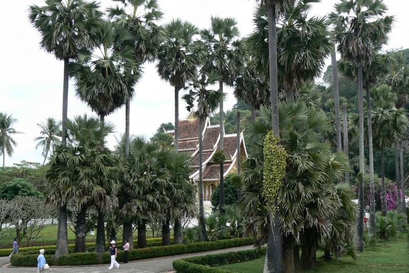 29 Luang Prabang